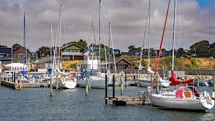 Marina Image