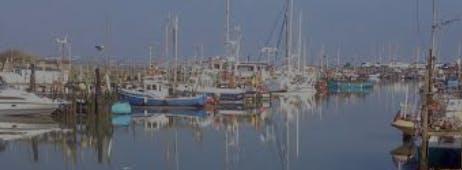 Marina Image