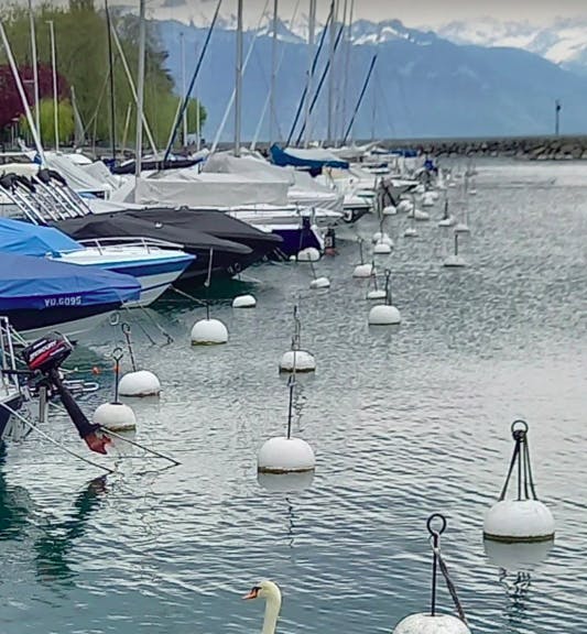 Marina Image