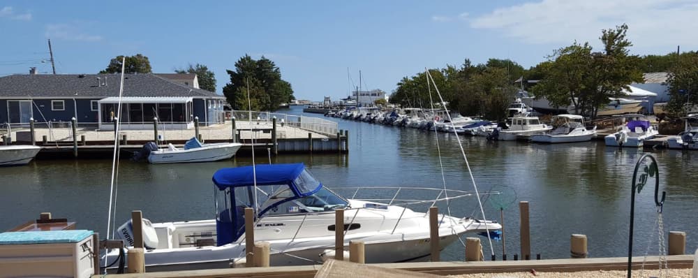 Marina Image