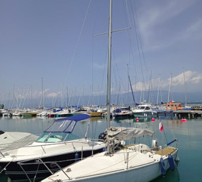 Marina Image