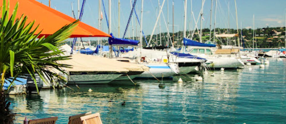 Marina Image