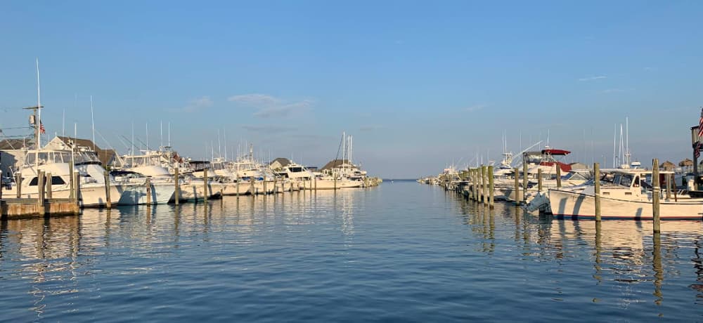 Marina Image
