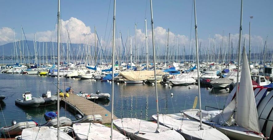 Marina Image