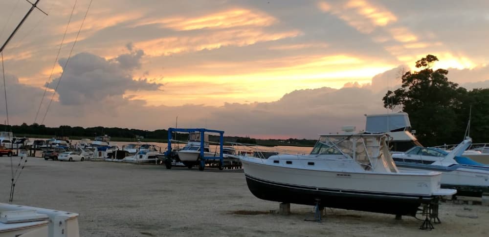 Marina Image