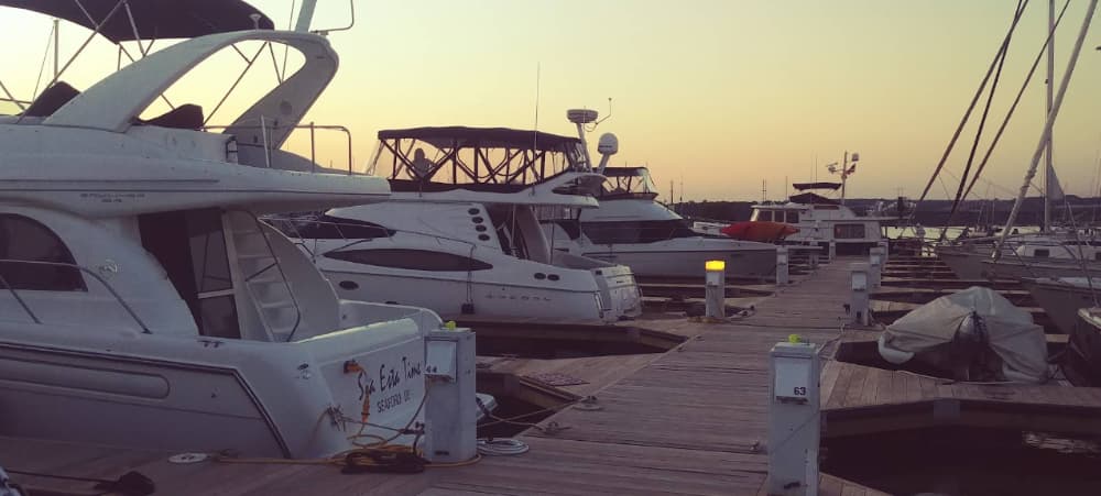 Havre De Grace Marina at the Log Pond