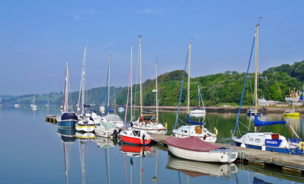 Dolphin Haven marina