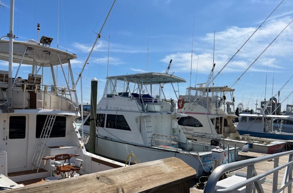 Island Marina Enterprises, LLC