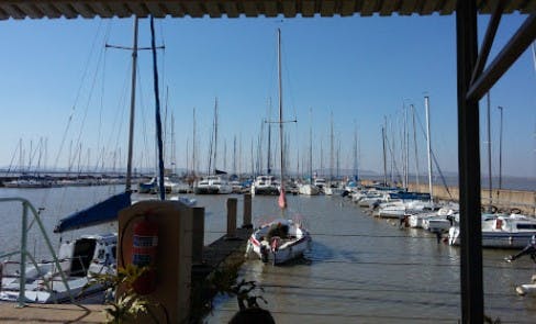 Marina Image