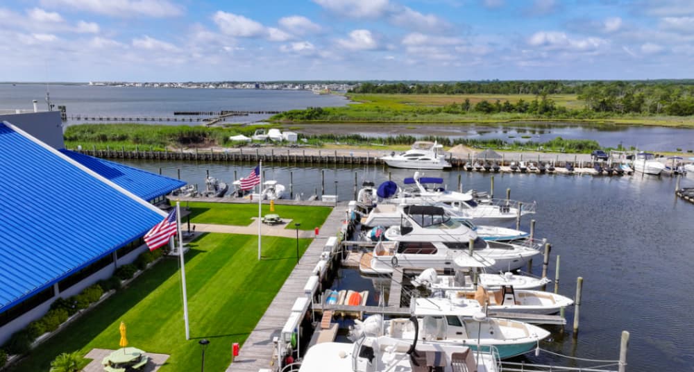 Marina Image