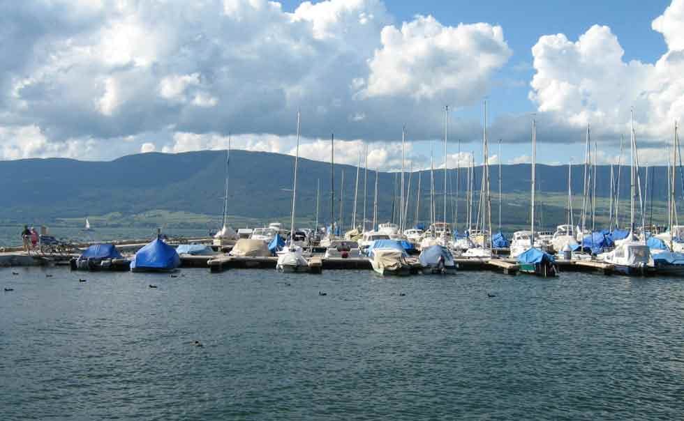 Marina Image