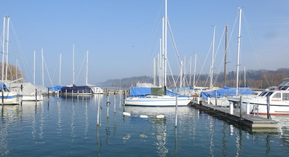 Marina Image