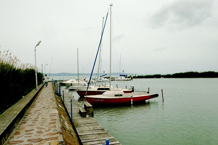 Marina Image