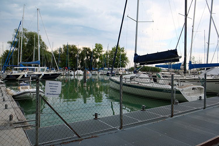 Marina Image