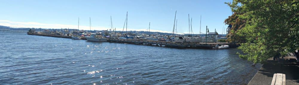 Second Avenue South Dock