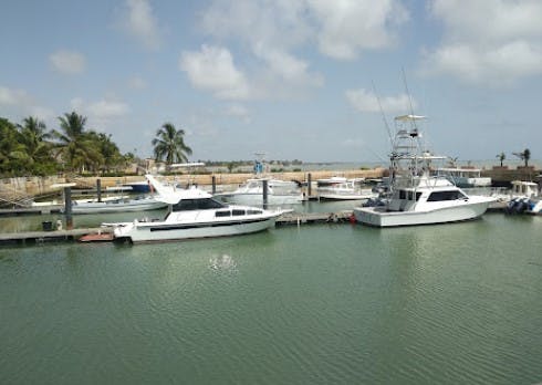 Marina Image