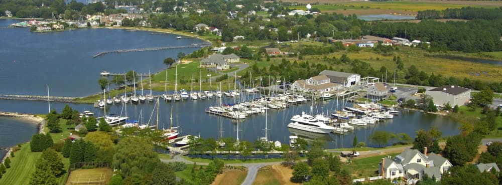 Marina Image