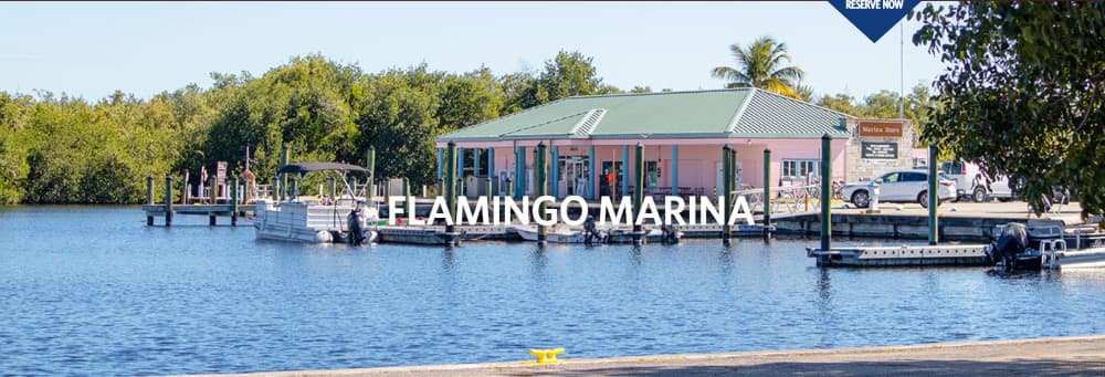 Flamingo Marina
