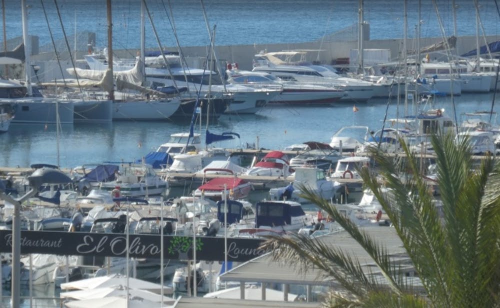 Marina Image