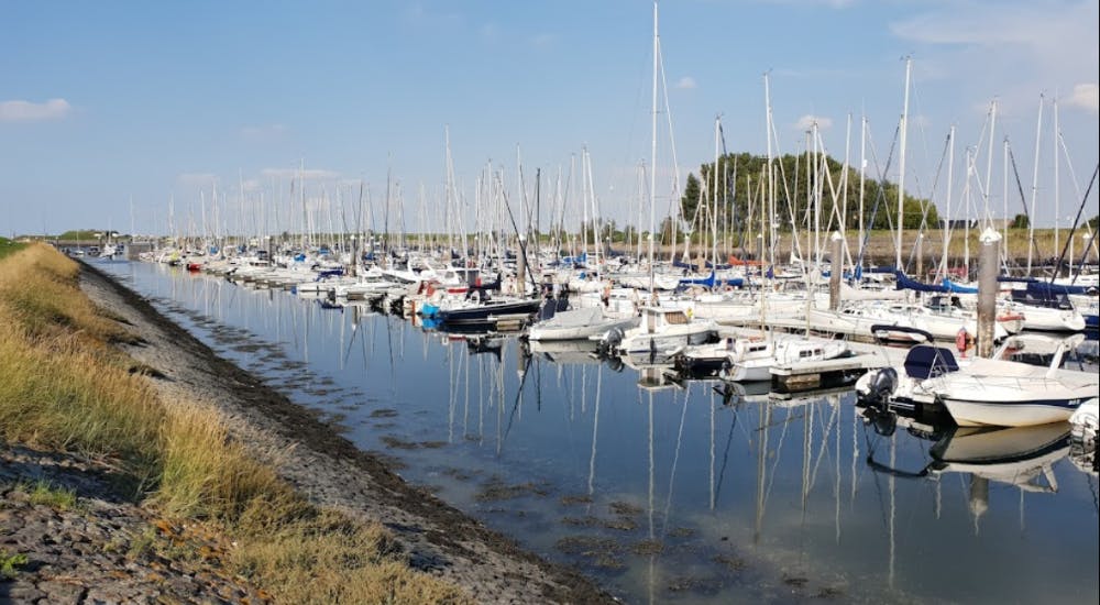 Marina Image