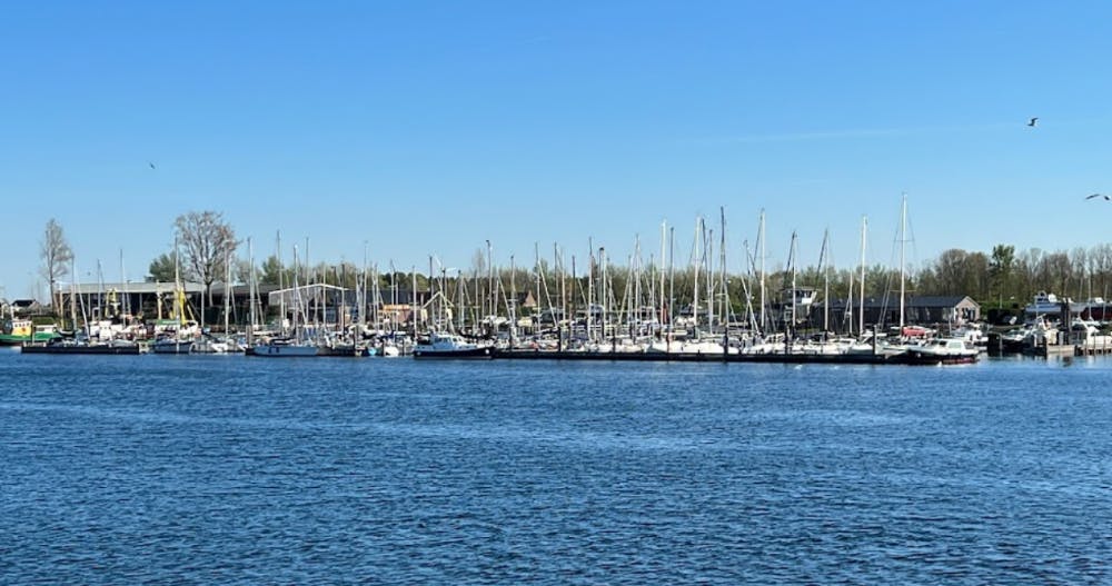 Marina Image