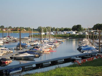 Marina Image