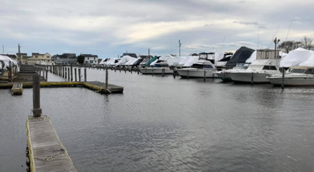 Marina Image