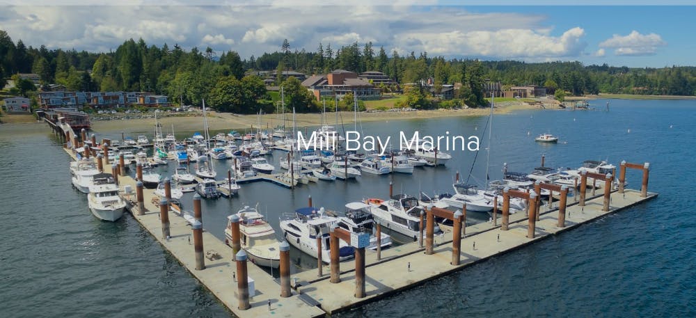 Marina Image