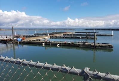 Quinault Marina & RV Park