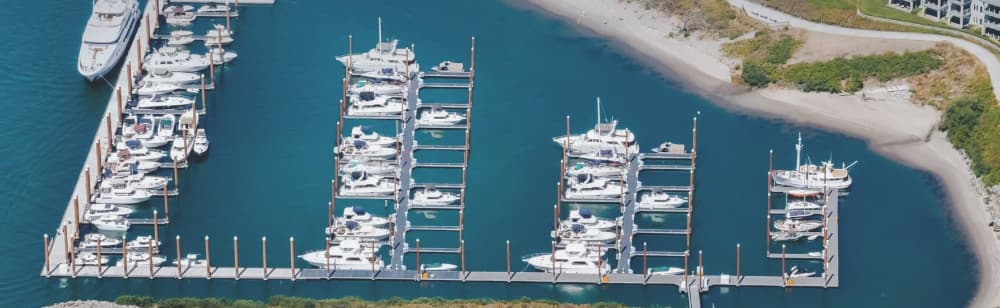 Tidewater Cove Marina