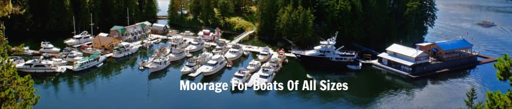 Echo Bay Marina and Lodge Status