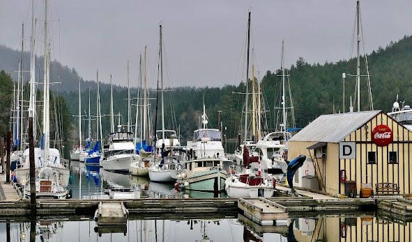 Marina Image