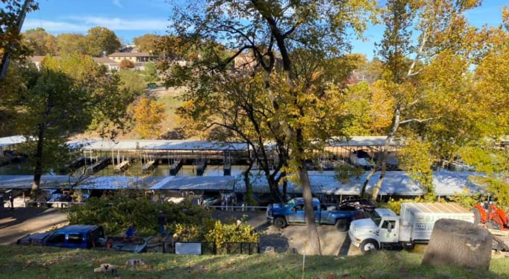 Monkey Island Marina