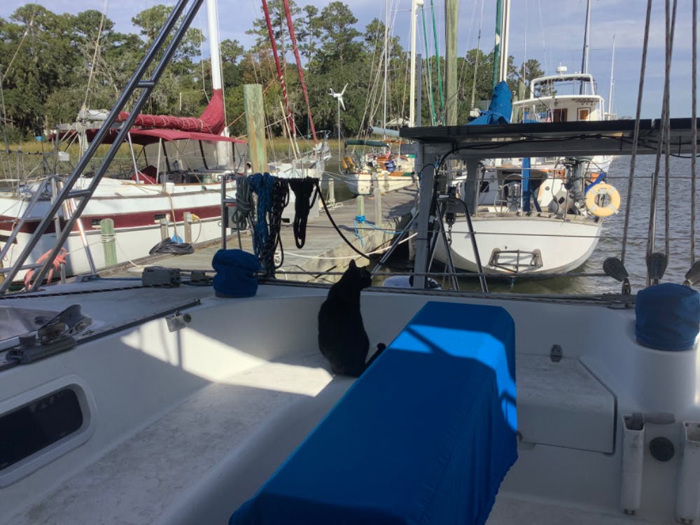 Dallas Bluff Marina from the stern of the Catamaran “Bastet”