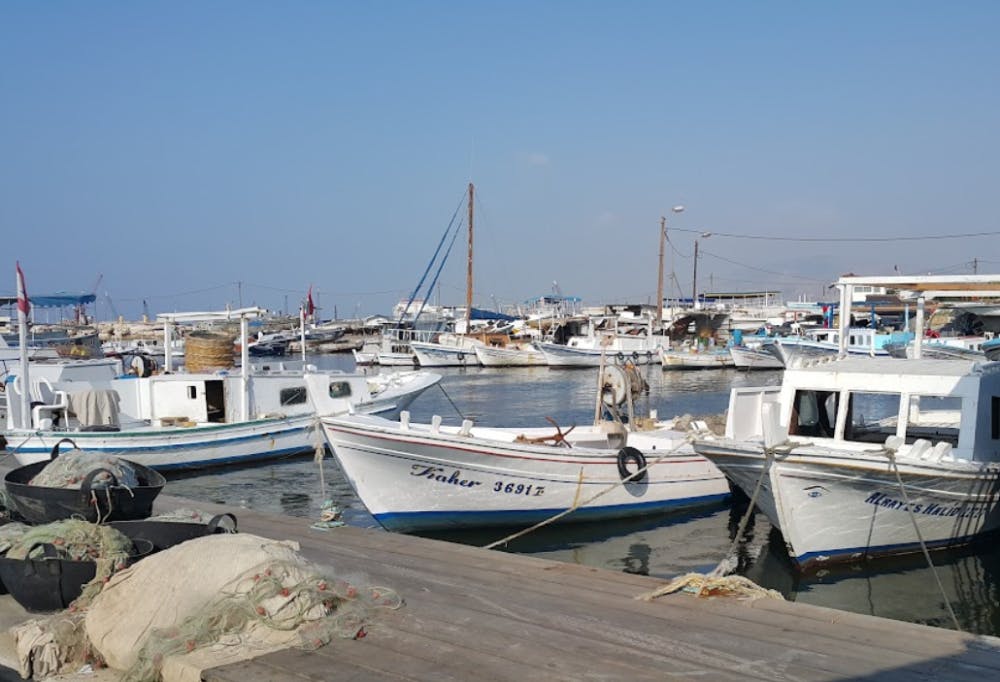 Marina Image