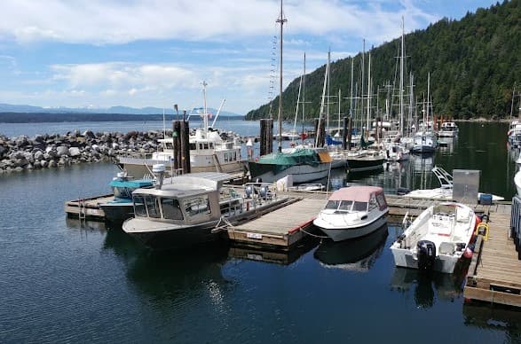 Ford Cove Harbour Authority