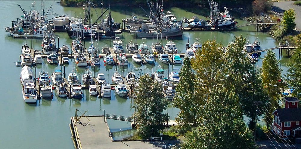 Marina Image