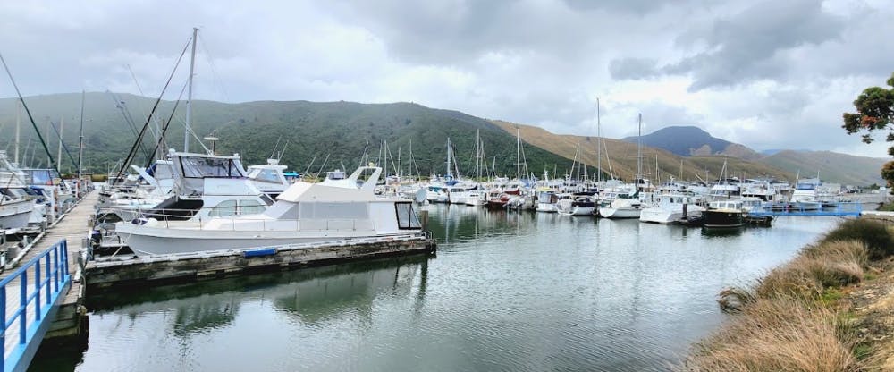 Marina Image