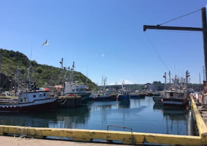 Fort Amherst Harbour Authority- St. John's (Prosser's Rock)