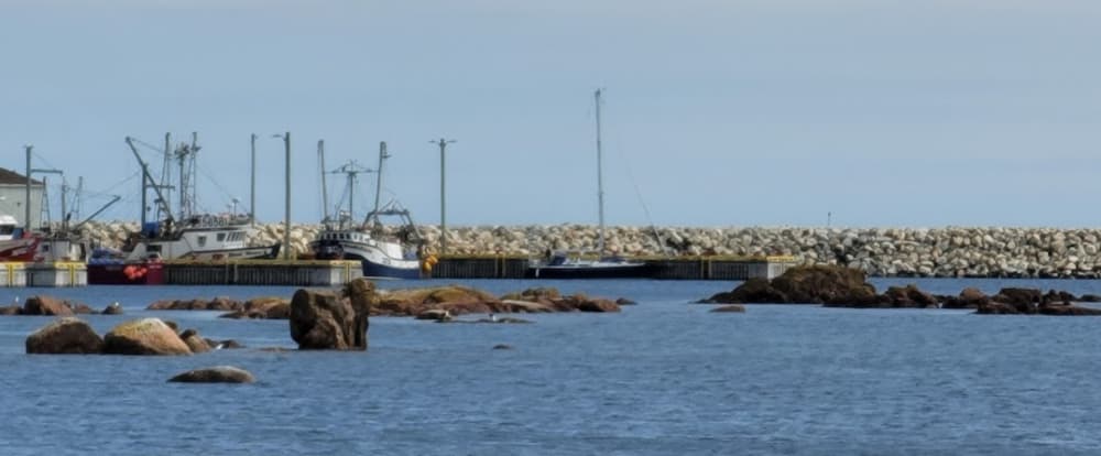 Harbour Authority of Musgrave