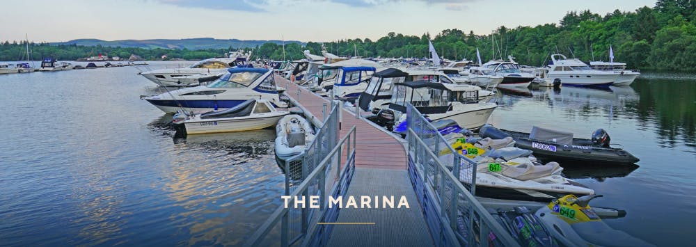 Marina Image