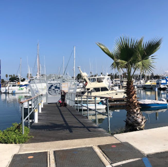 Marina Image