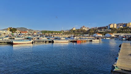 Marina Image