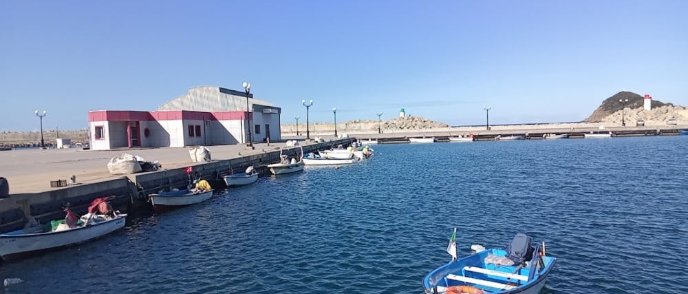 Marina Image