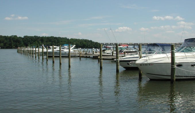 Marina Image