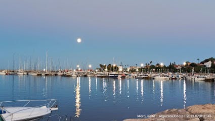 Marina Image