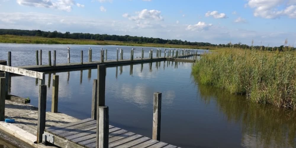 Steamboat Landing Campground & Marina