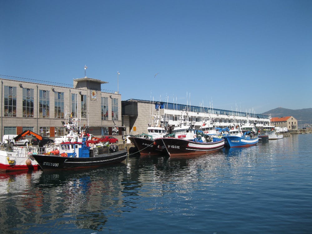 Marina Image