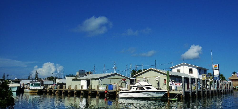 Marina Image