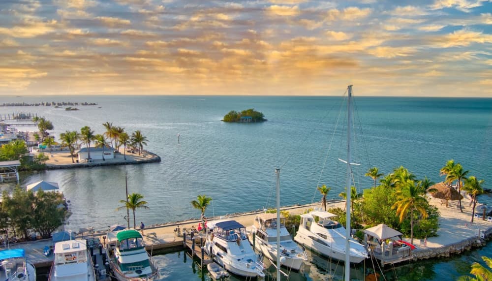 Blackfin Resort and Marina